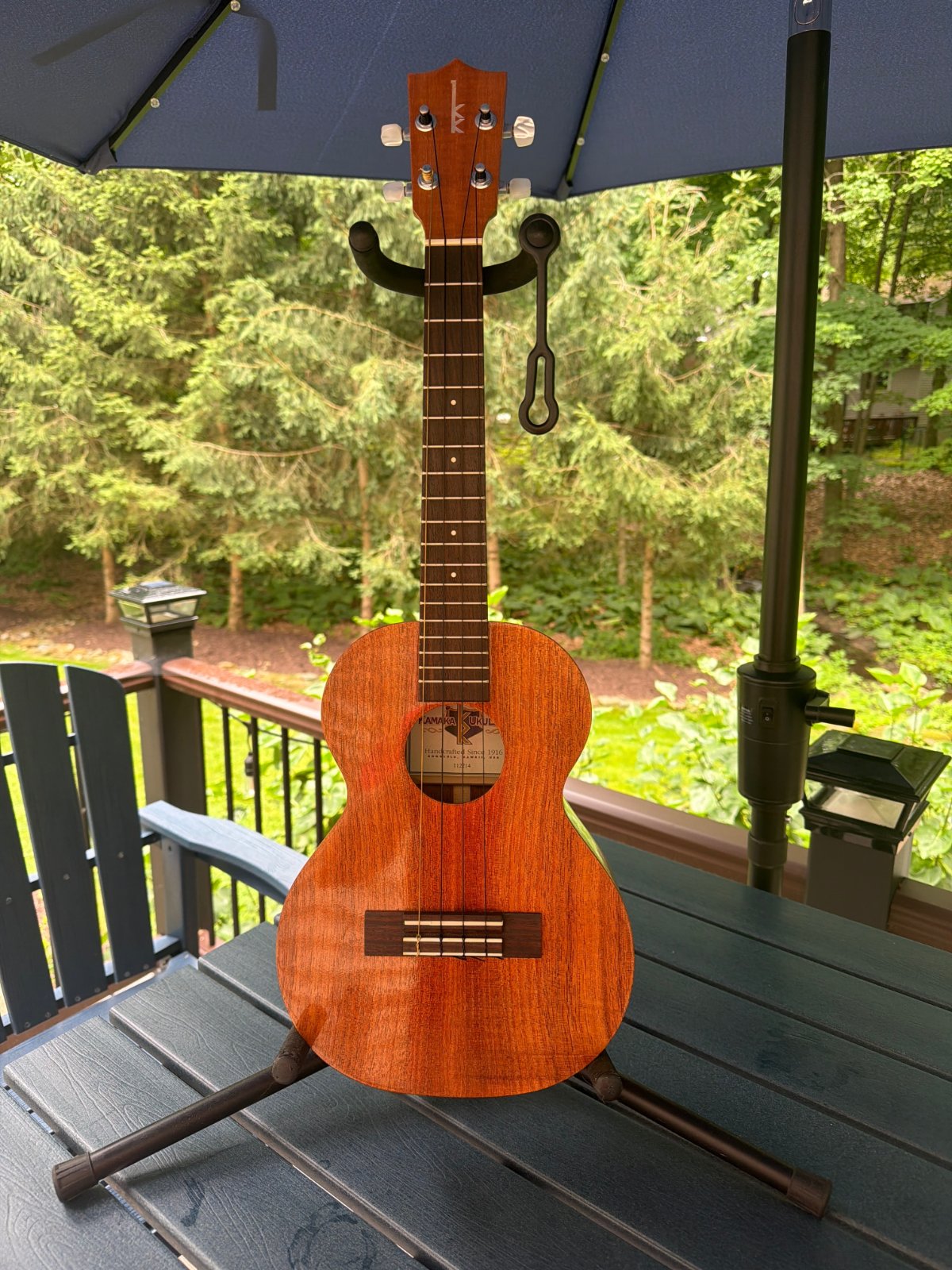 Kamaka HF-3